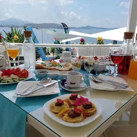 Aloha Hotel 3*